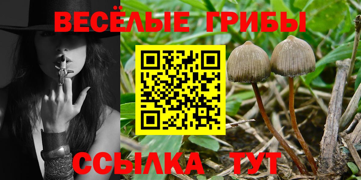 Галлюциногенные грибы мухоморы Шадринск