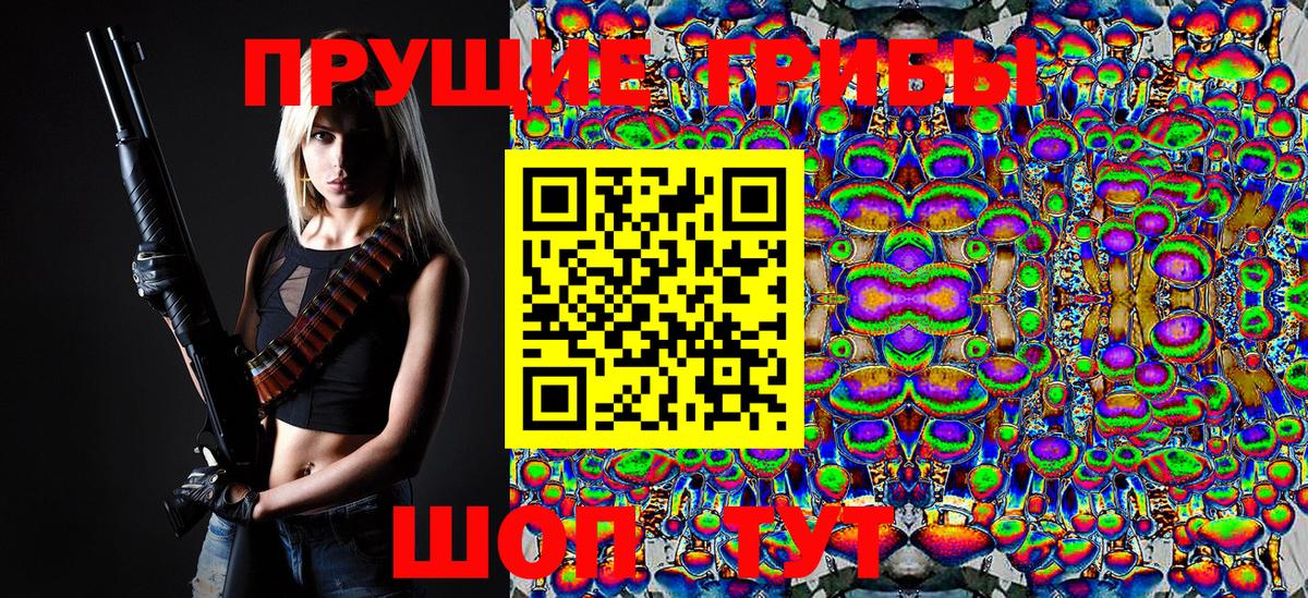 Шадринск  Псилоцибиновые грибы Psilocybine cubensis  Вход с VPN 